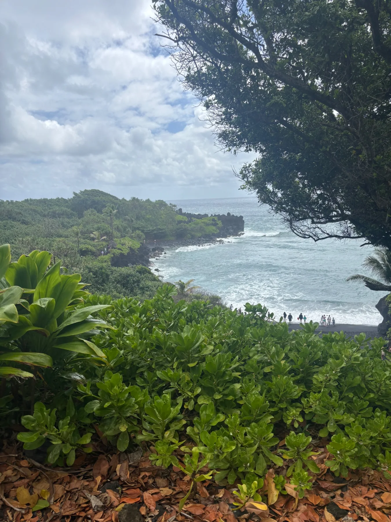 Maui coastline
