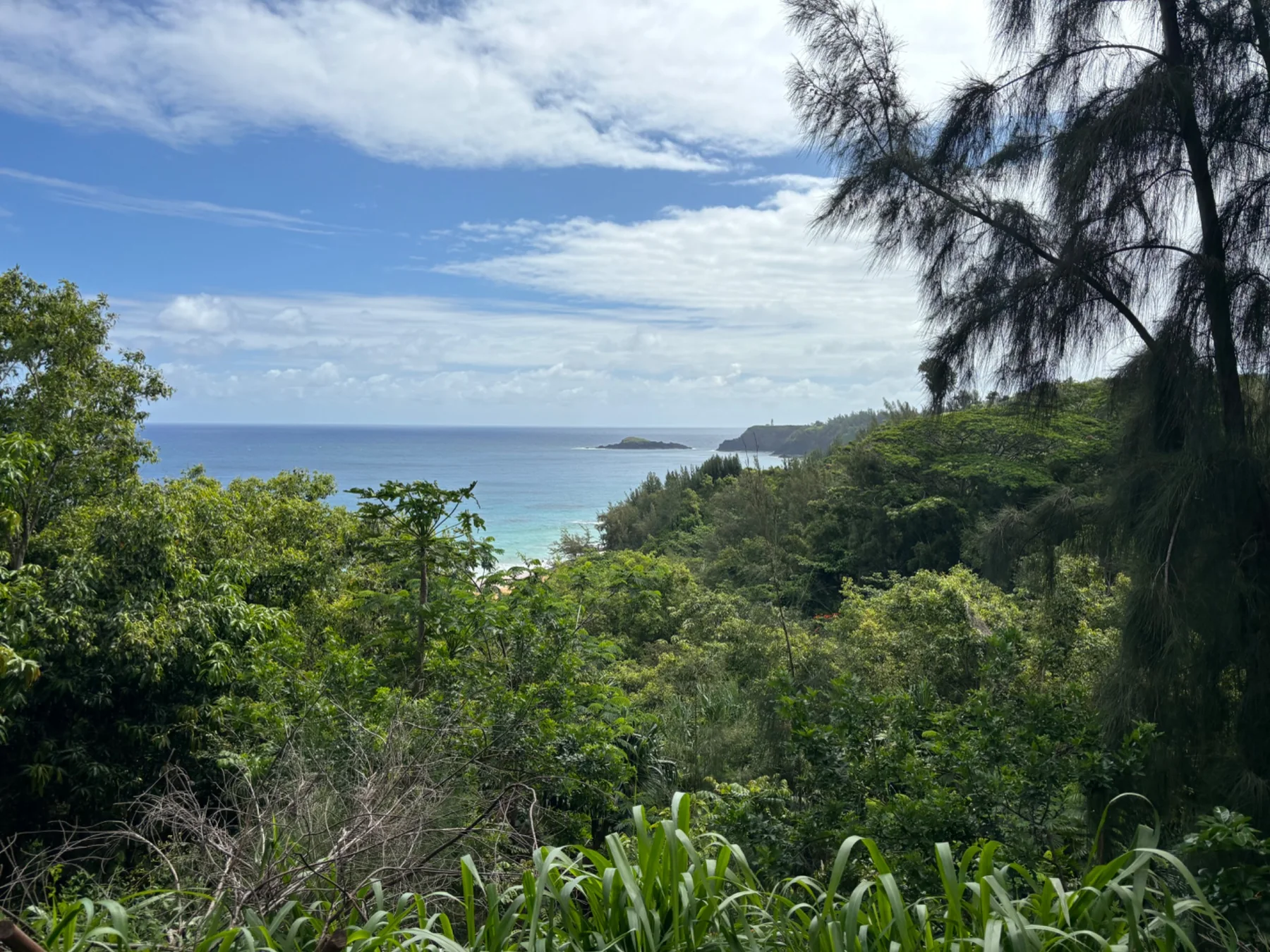 Lush Kauai coastline