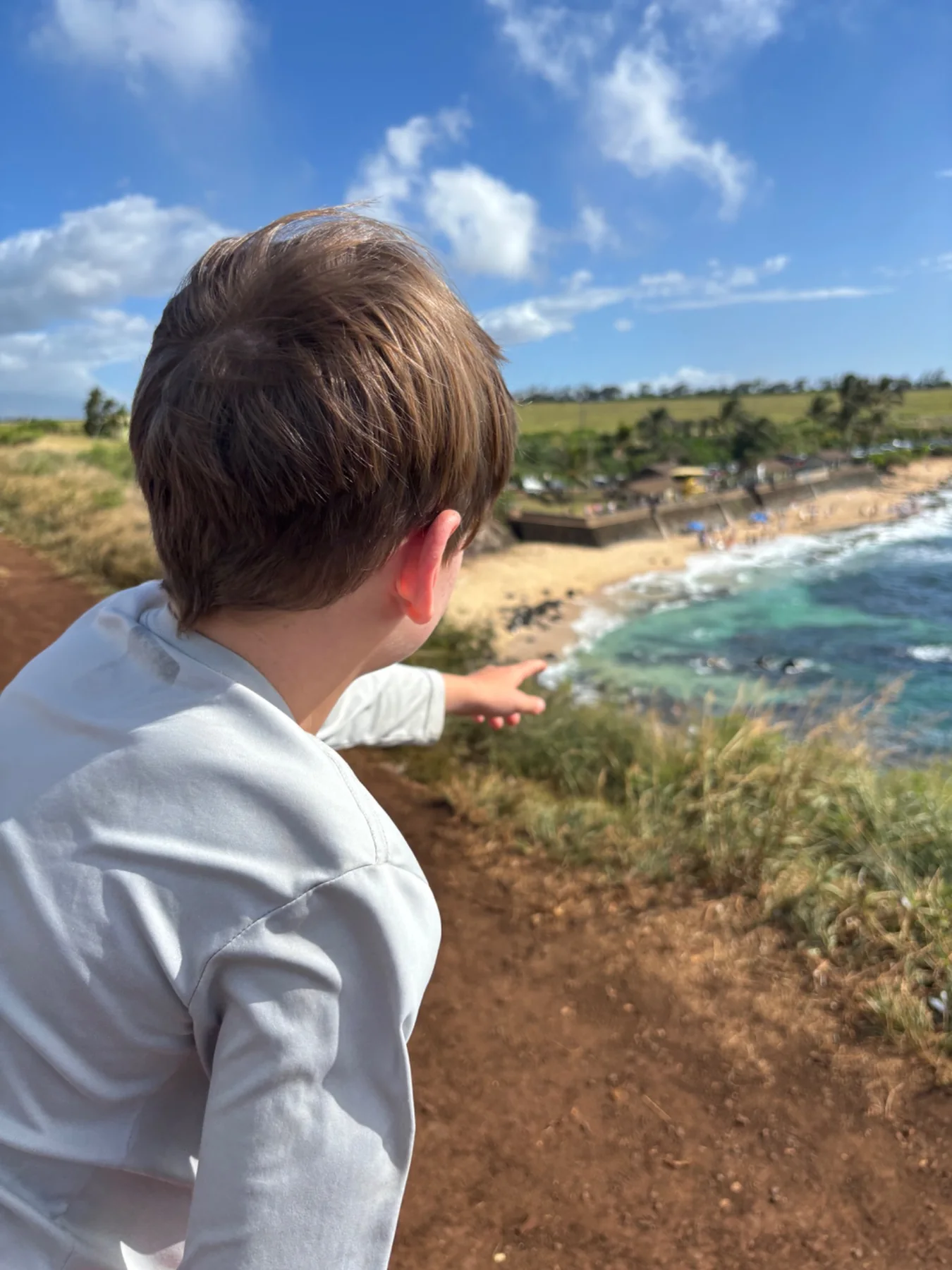 Looking toward sea turtles at Hookipa Beach